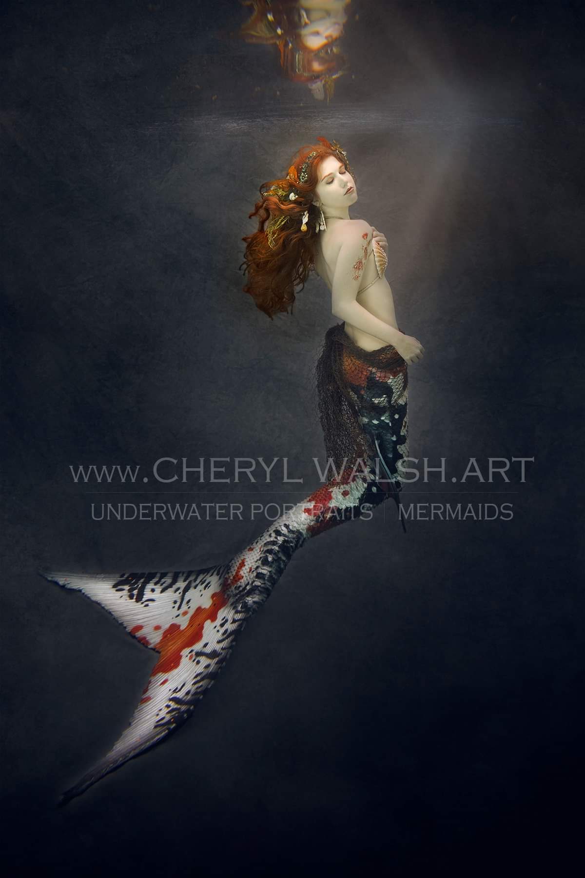 The Koi Queen - Cheryl Walsh